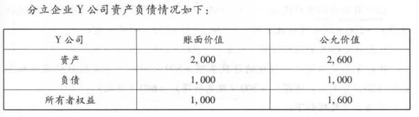 分立企业Y公司情况