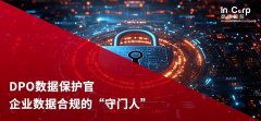 为什么新加坡企业必须关注DPO数据